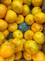 One rotten lemon among the yellow ones in the box