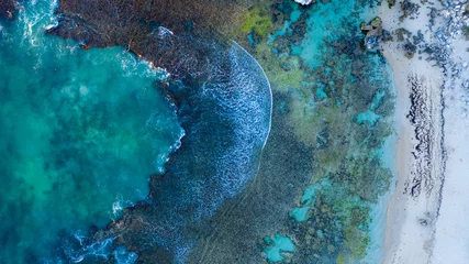 Tuinposter Gematigd koraalrif © Chris