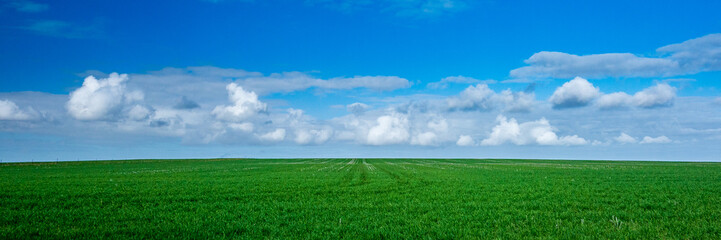 A new crop in the making