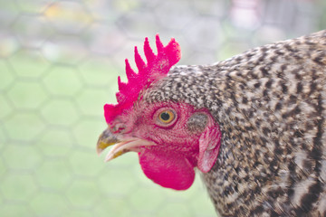 Developed using darktable 2.6.0