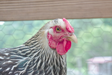 Developed using darktable 2.6.0