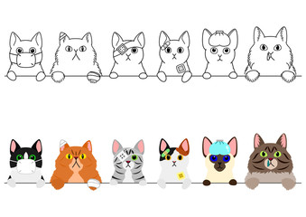 unhappy sick cats border