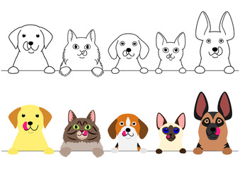 cats and dogs licking their lips in a row