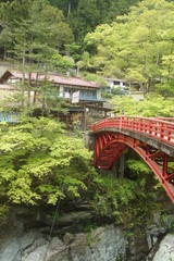 奥秩父　三峰神社参道の風景