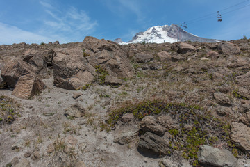 Mt. Hood Hiking trail