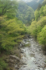 Fototapeta na wymiar 奥秩父　三峰参道の自然（渓谷）