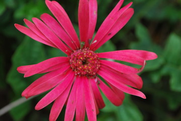 Obraz premium Photos BrunaTorres