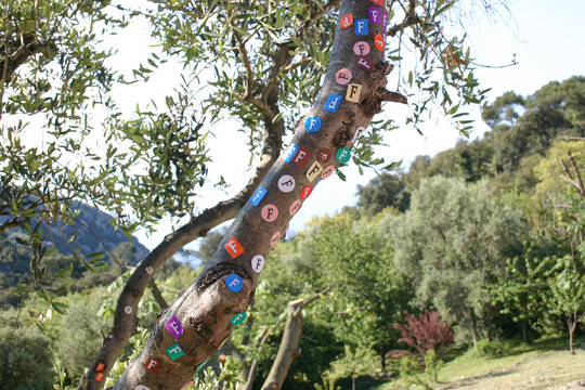 Tree branch covered with "F" stickers