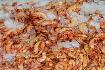 Fresh raw shrimps in the fish market