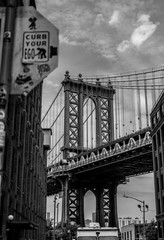 Curb Your Ego NYC