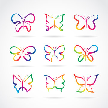 Vector group of hand drawn butterflies on white background. Butterfly icon. Insect. Animal. Easy editable layered vector illustration.