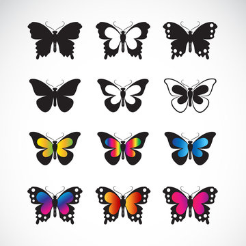 Vector group of butterflies design on white background. Butterfly icon. Insect. Animal. Easy editable layered vector illustration.