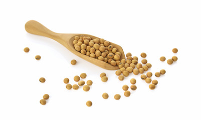 Soybeans isolated on the white background