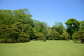 Fototapeta premium 伊勢神宮内宮