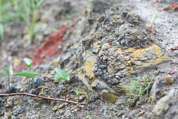 surface of dirt ground