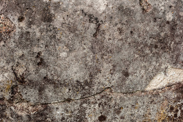 Texture of a concrete wall with cracks and scratches which can be used as a background