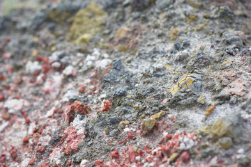 surface of dirt ground