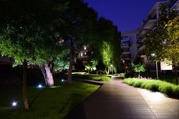 Ornamental shrubs and plants near a residential city house at night