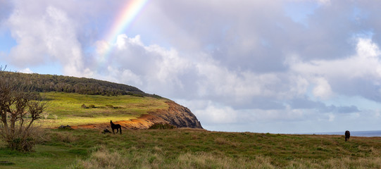 EASTER ISLAND landscape on the road to Anakena