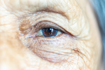 Close-ups of older women eyes. Portrait of an old woman