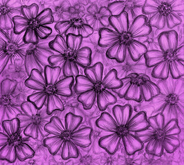 Fototapeta premium Floral background. Hand drawn pencil flowers on pink background. Design for textile, invitations, covering design, wallpapers, gift papers.