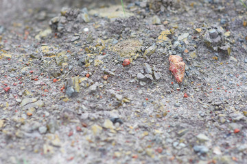 surface of dirt ground