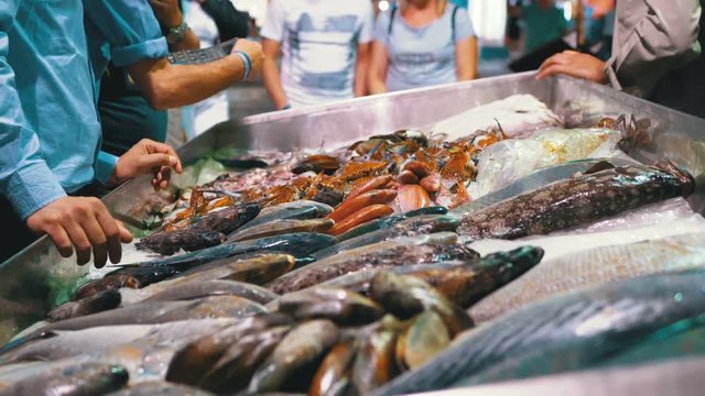 Fresh Seafood, Different Sea Fish in Ice Sold on Showcase on the Street Market