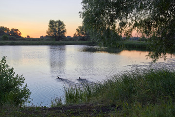 Beautiful sunrise on the lake, the path of the Sun burns with gold
