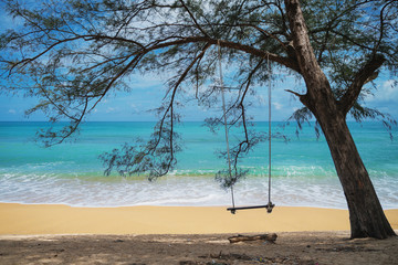 big tree and wooden swing seat on the beach	