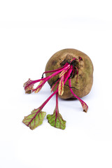 fresh beetroot with green leaf