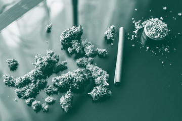 CBD and THC on buds in cannabis. Hemp legalisation.Backgroun for Copy space. Hemp wraps for blunt....