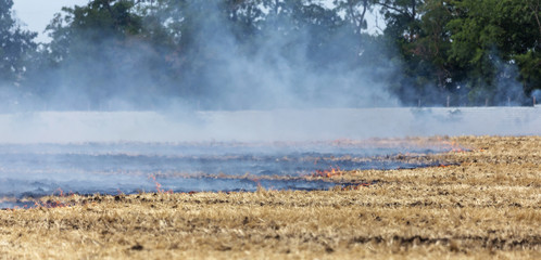 Forest and steppe fires dry completely destroy the fields and steppes during a severe drought. Disaster brings regular damage to nature and economy of region. Lights field with the harvest of wheat