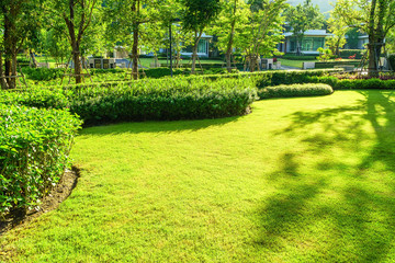 garden in spring, Path in lush and beautiful gardens, green lawns, front lawn for background,...