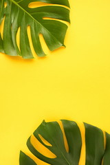 Fototapeta na wymiar tropical green leaves monstera frame on yellow background top view. Flat lay. Copy space