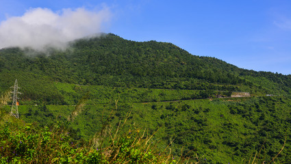 Fototapeta na wymiar Mountain scenery of Hai Van Pass