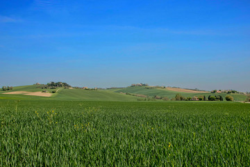 Landscape of Marche