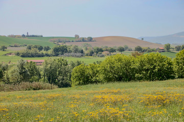 Landscape of Marche