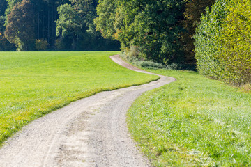 Obraz premium GAUTING, BAVARIA / GERMANY - October 13, 2018: View on footpath / walkway leading into a forest. The path is a bit winding and makes a slight turn to the right, then to the left. Just like real life.