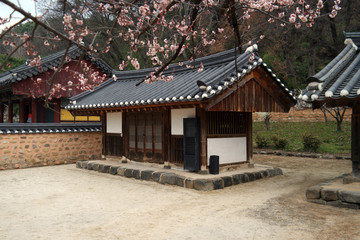 Fototapeta na wymiar Piram Confucian Academy of South Korea