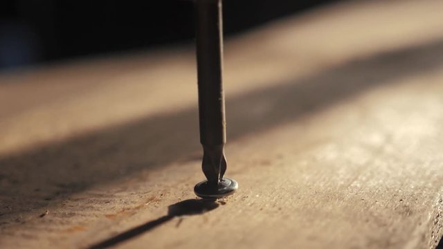 the worker tightens the screw with a screwdriver. Screws screwdriver twist in wooden board. Joinery and lifestyle construction work close up. screw out the screw
