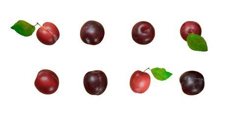 Plums isolated on white background.