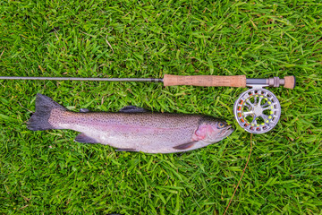 Flyfishing for a Trout dinner