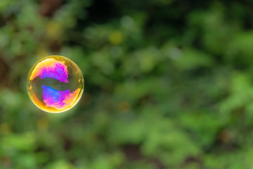 single soap bubble floating