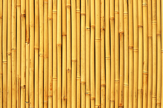 Closeup Photo of Natural Bamboo Fence Panel
