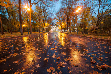 City autumn park after rain © firewings