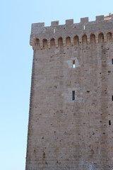 Fototapeta na wymiar castle in rome italy