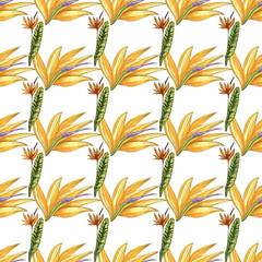 Strelitzia jungle foliage pattern background. Vector tropical decor. Summer botanical backdrop. Summer graphic. Magic background. Banana leaves.