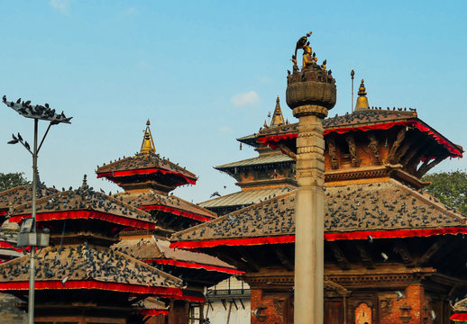 Kathmandu Durbar Square (Basantapur Darbar Kshetra), Nepal. 6 buildings visible, decorated with red ribbons. One pillar in front of them. On every rooftop sit thousands of pigeons. bright colors.