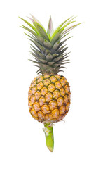 Single pineapple  fruit with green leaves patterns and stem isolated on white background , clipping path vertical