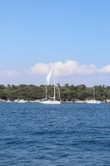 Obraz premium sailing boat on the river